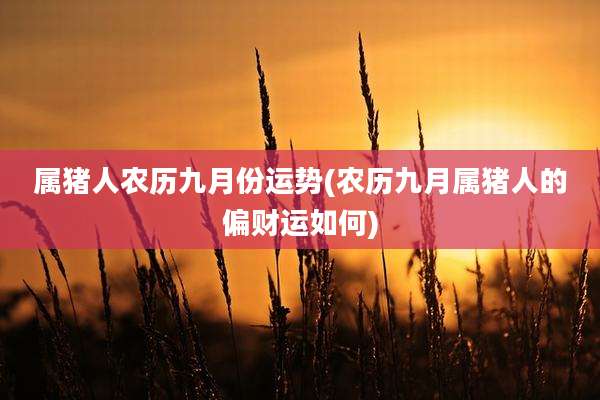属猪人农历九月份运势(农历九月属猪人的偏财运如何)