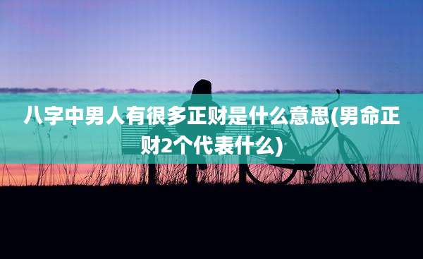八字中男人有很多正财是什么意思(男命正财2个代表什么)