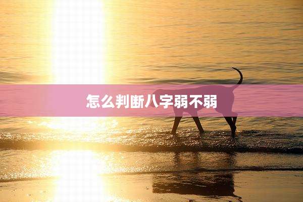 怎么判断八字弱不弱