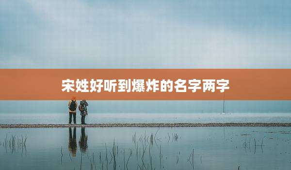 宋姓好听到爆炸的名字两字
