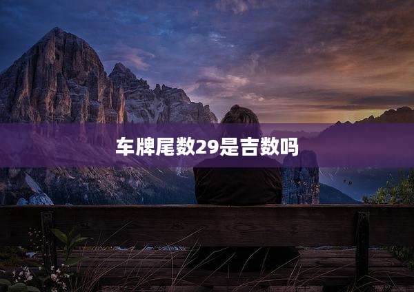 车牌尾数29是吉数吗