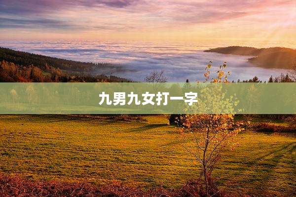 九男九女打一字