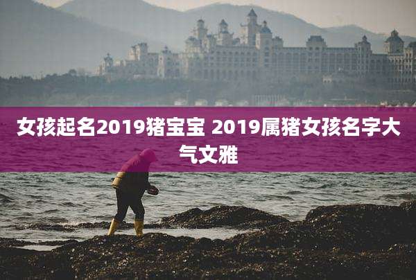 女孩起名2019猪宝宝 2019属猪女孩名字大气文雅