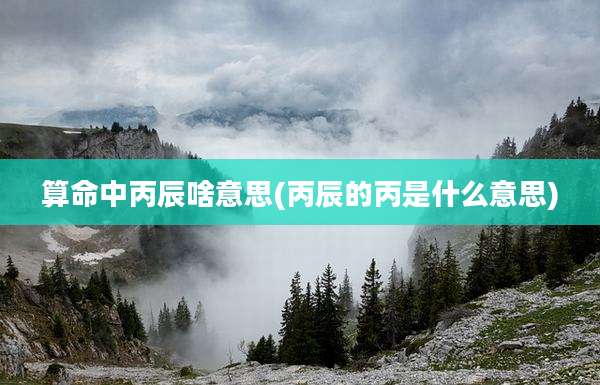 算命中丙辰啥意思(丙辰的丙是什么意思)