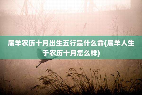 属羊农历十月出生五行是什么命(属羊人生于农历十月怎么样)