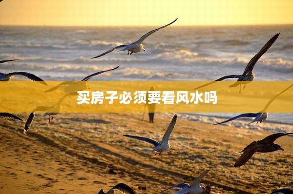 买房子必须要看风水吗