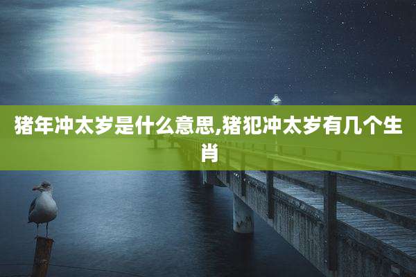 猪年冲太岁是什么意思,猪犯冲太岁有几个生肖