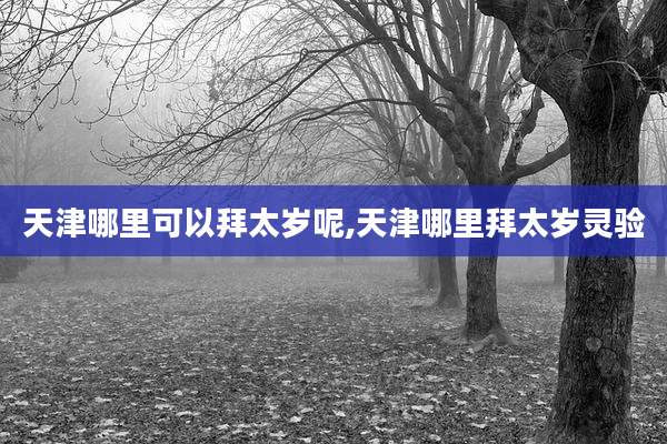 天津哪里可以拜太岁呢,天津哪里拜太岁灵验