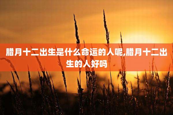 腊月十二出生是什么命运的人呢,腊月十二出生的人好吗