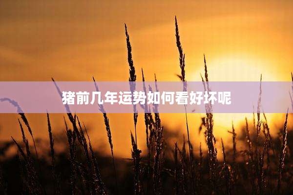 猪前几年运势如何看好坏呢