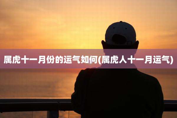属虎十一月份的运气如何(属虎人十一月运气)