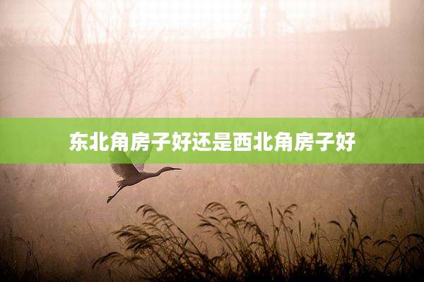 东北角房子好还是西北角房子好