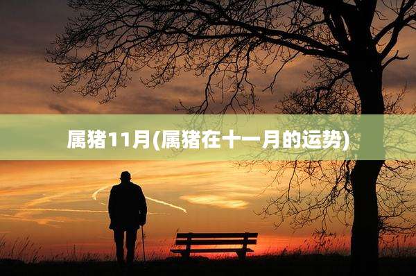 属猪11月(属猪在十一月的运势)