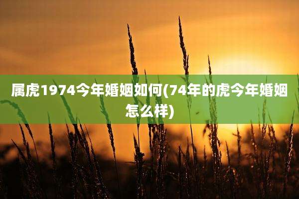 属虎1974今年婚姻如何(74年的虎今年婚姻怎么样)