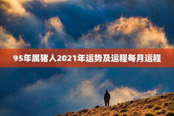 95年属猪人2021年运势及运程每月运程