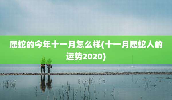 属蛇的今年十一月怎么样(十一月属蛇人的运势2020)