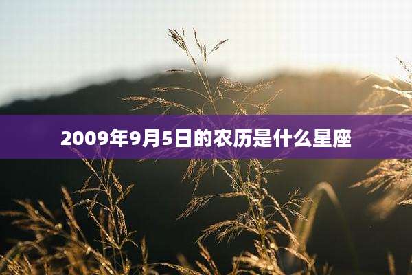 2009年9月5日的农历是什么星座