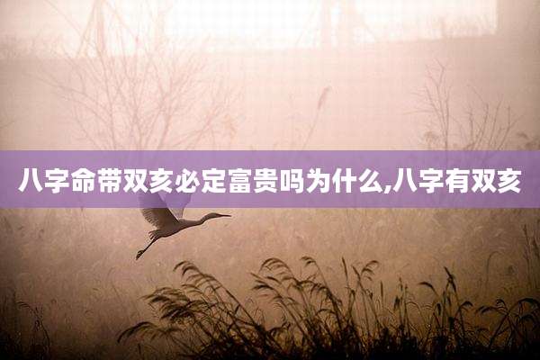八字命带双亥必定富贵吗为什么,八字有双亥