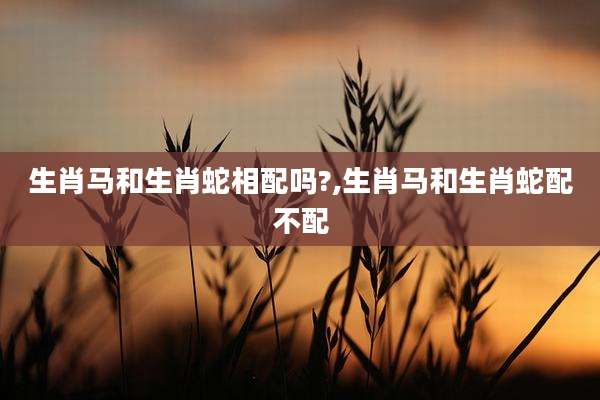 生肖马和生肖蛇相配吗?,生肖马和生肖蛇配不配