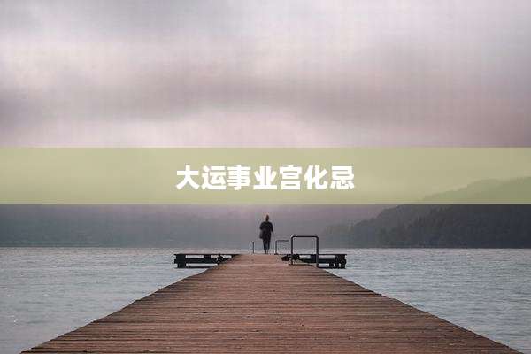 大运事业宫化忌
