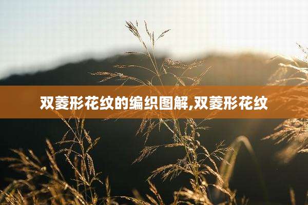 双菱形花纹的编织图解,双菱形花纹