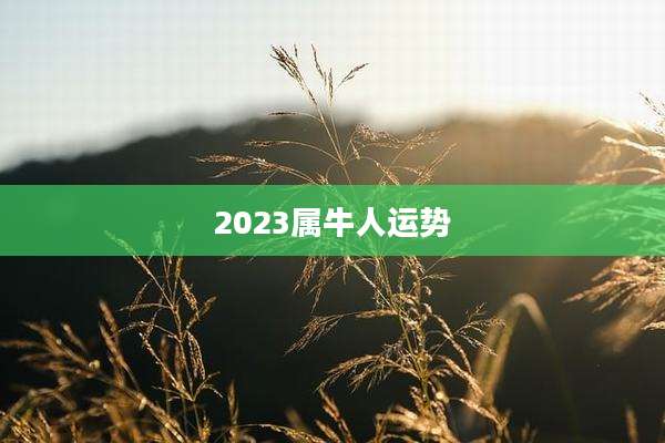 2023属牛人运势