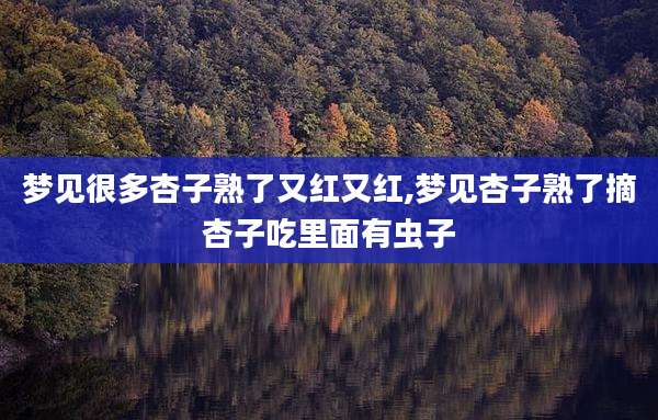 梦见很多杏子熟了又红又红,梦见杏子熟了摘杏子吃里面有虫子