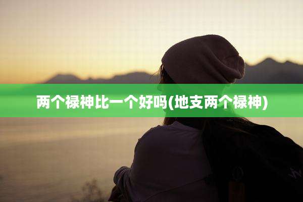 两个禄神比一个好吗(地支两个禄神)