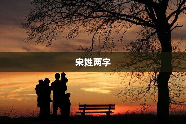 宋姓两字