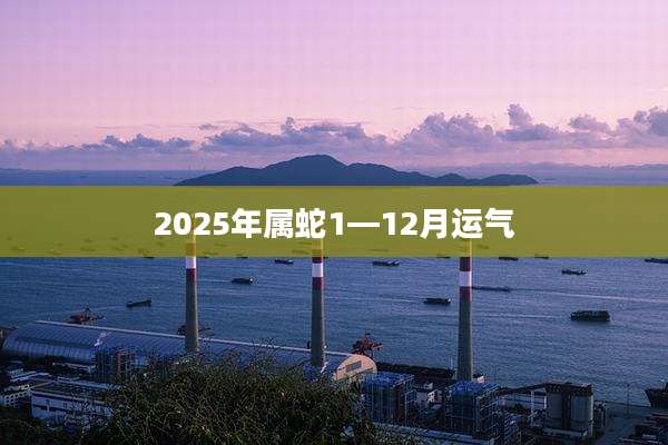 2025年属蛇1—12月运气