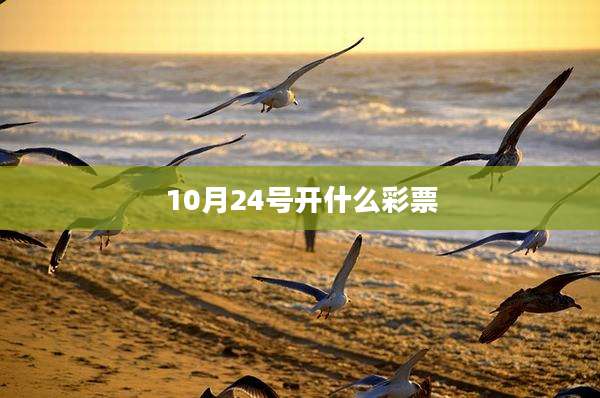 10月24号开什么彩票