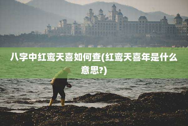 八字中红鸾天喜如何查(红鸾天喜年是什么意思?)