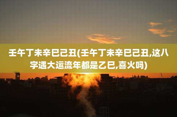 壬午丁未辛巳己丑(壬午丁未辛巳己丑,这八字遇大运流年都是乙巳,喜火吗)