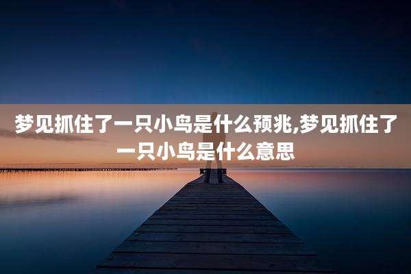 梦见抓住了一只小鸟是什么预兆,梦见抓住了一只小鸟是什么意思