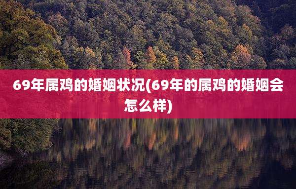 69年属鸡的婚姻状况(69年的属鸡的婚姻会怎么样)