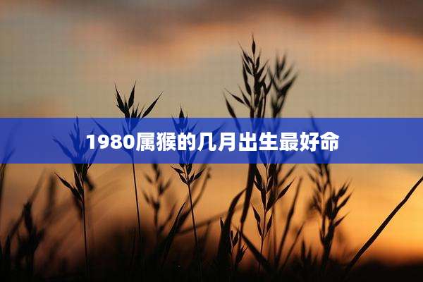 1980属猴的几月出生最好命