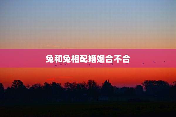 兔和兔相配婚姻合不合