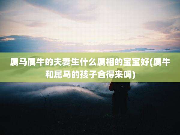 属马属牛的夫妻生什么属相的宝宝好(属牛和属马的孩子合得来吗)