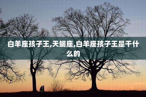 白羊座孩子王,天蝎座,白羊座孩子王是干什么的