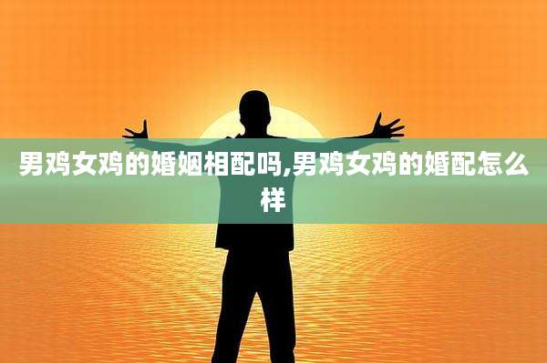 男鸡女鸡的婚姻相配吗,男鸡女鸡的婚配怎么样