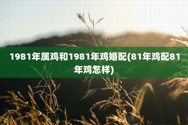 1981年属鸡和1981年鸡婚配(81年鸡配81年鸡怎样)