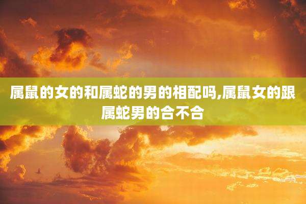 属鼠的女的和属蛇的男的相配吗,属鼠女的跟属蛇男的合不合