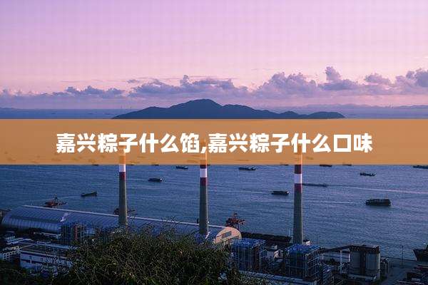嘉兴粽子什么馅,嘉兴粽子什么口味