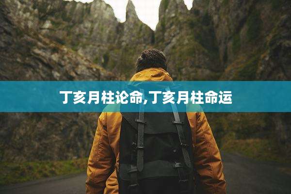 丁亥月柱论命,丁亥月柱命运