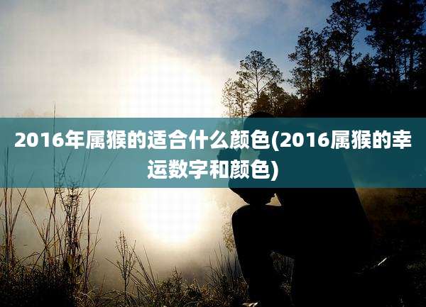 2016年属猴的适合什么颜色(2016属猴的幸运数字和颜色)