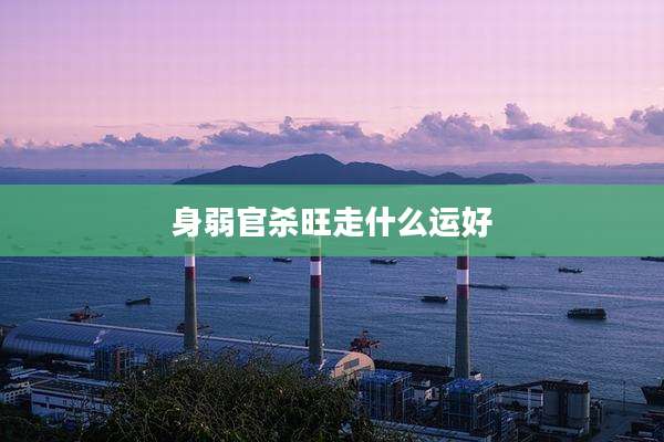 身弱官杀旺走什么运好