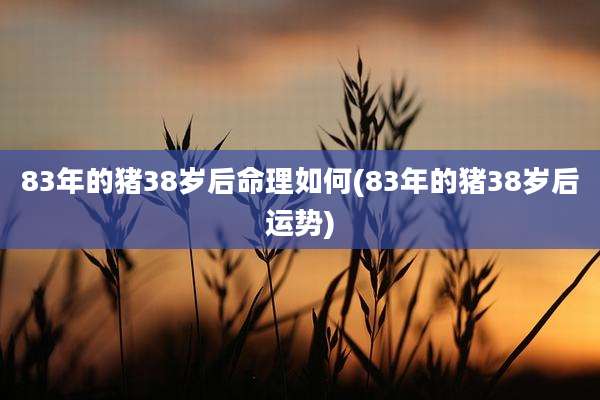 83年的猪38岁后命理如何(83年的猪38岁后运势)