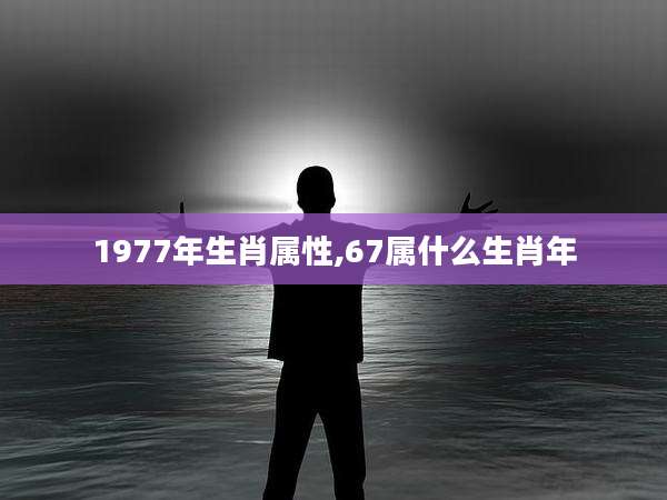 1977年生肖属性,67属什么生肖年