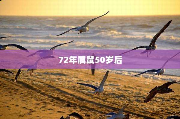 72年属鼠50岁后