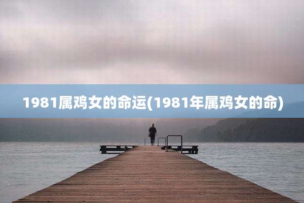 1981属鸡女的命运(1981年属鸡女的命)